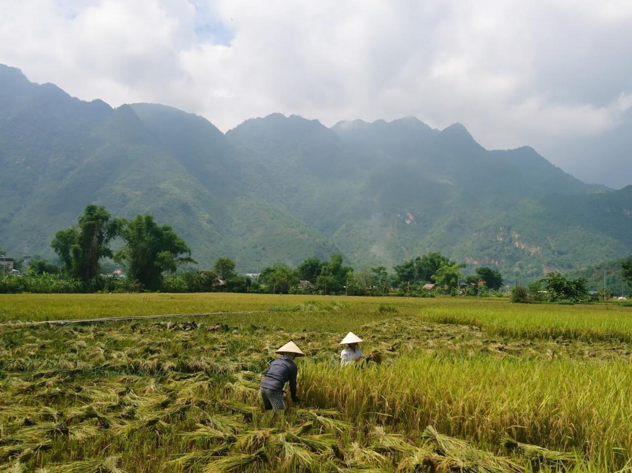 Mai Chau Countryside Homestay Exterior photo